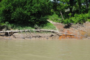 coal-ash-uncovered-riverbank